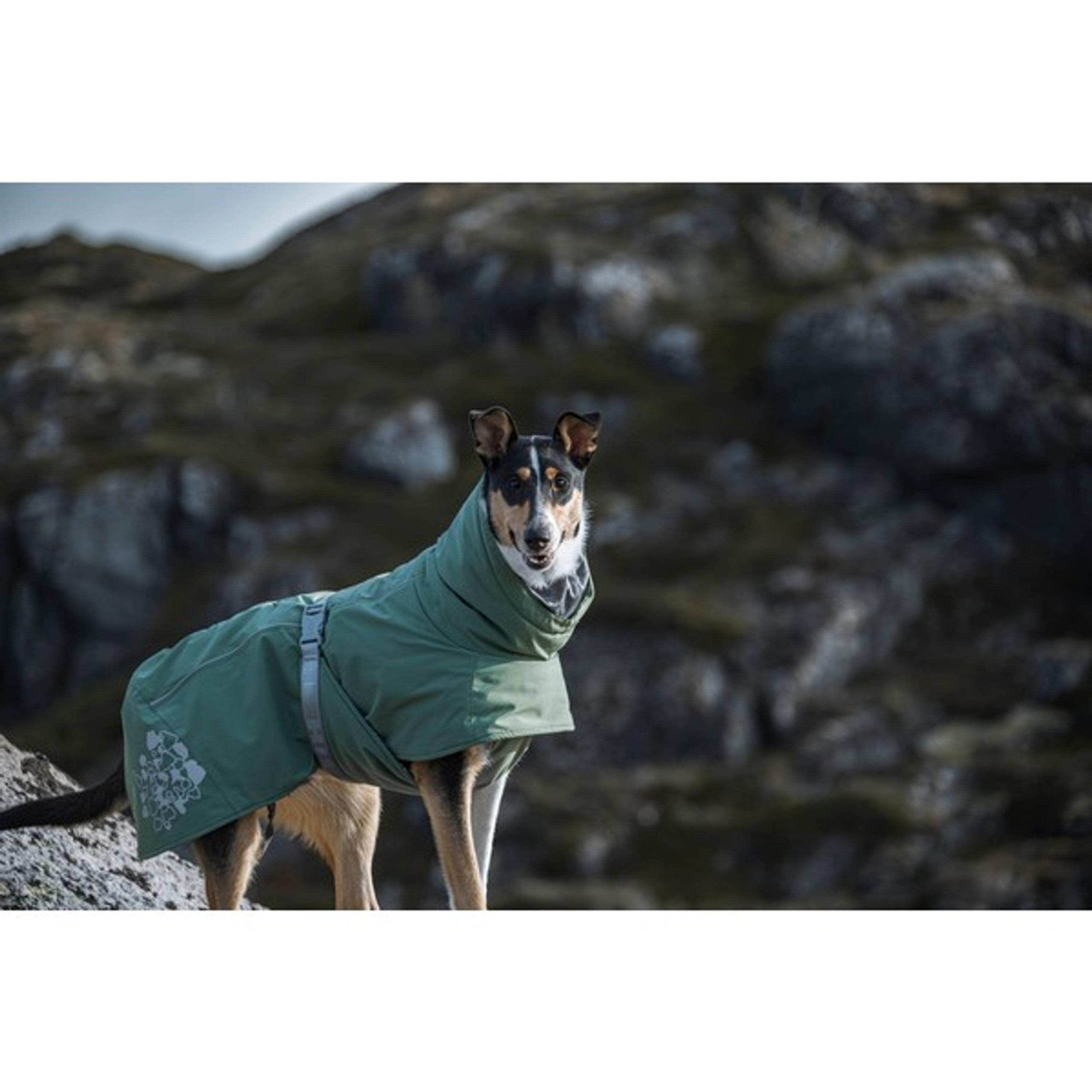 Hurtta Extreme Warmer ECO Hedge Dog Winter Coat 25cm