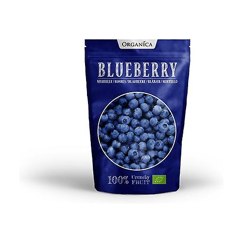 Crunchy fruit ORGANIC wild blueberries 16 g