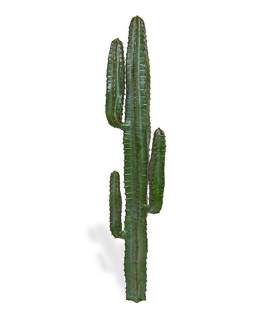 Euphorbia Cactus (140 cm)