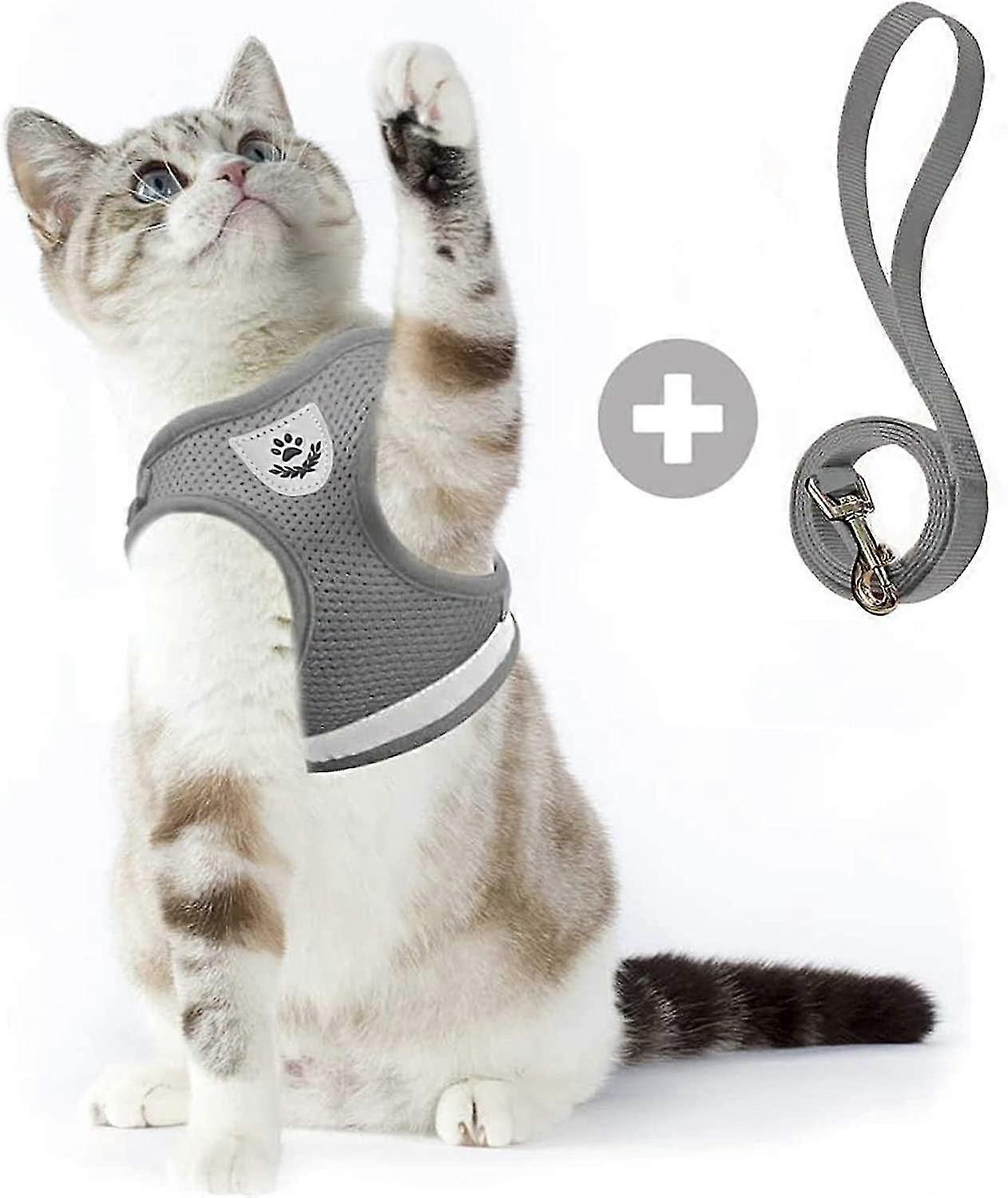 Dww-cat Harness Anti-escape Puppy Harness Soft Rabbit Harness With Leash For Kitten, Dogs, Chihuahua(mgrey