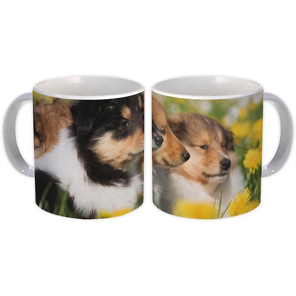 Gift Mug: Collie Dog