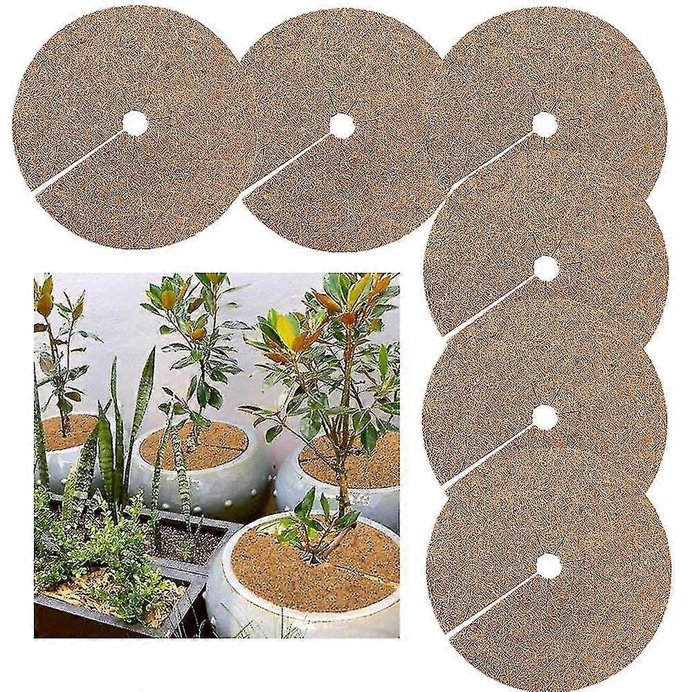6pcs Coconut Fibers Mulch Ring Tree Protector Mat Tree Ring Mats
