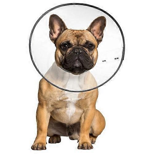 ZenPet E-Clear Plastic Recovery Collar, 1 Each / Medium