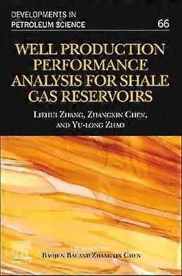 Well Production Performance Analysis for Shale Gas Reservoirs