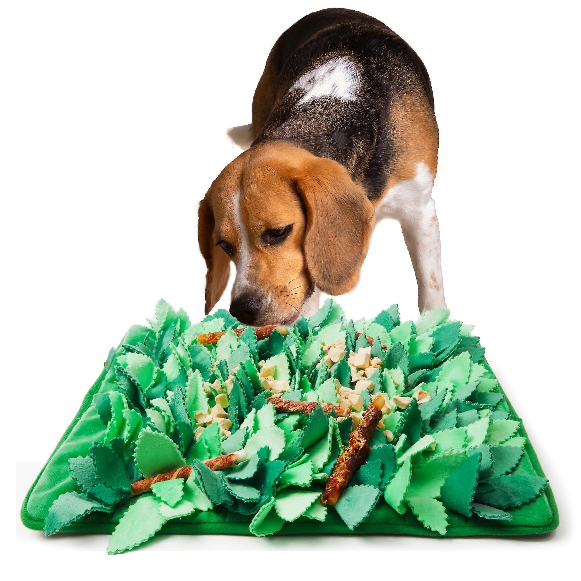 Interactive Sniffing Mat for Dogs to Keep Busy Them and Eat Slower Enrichment Activity