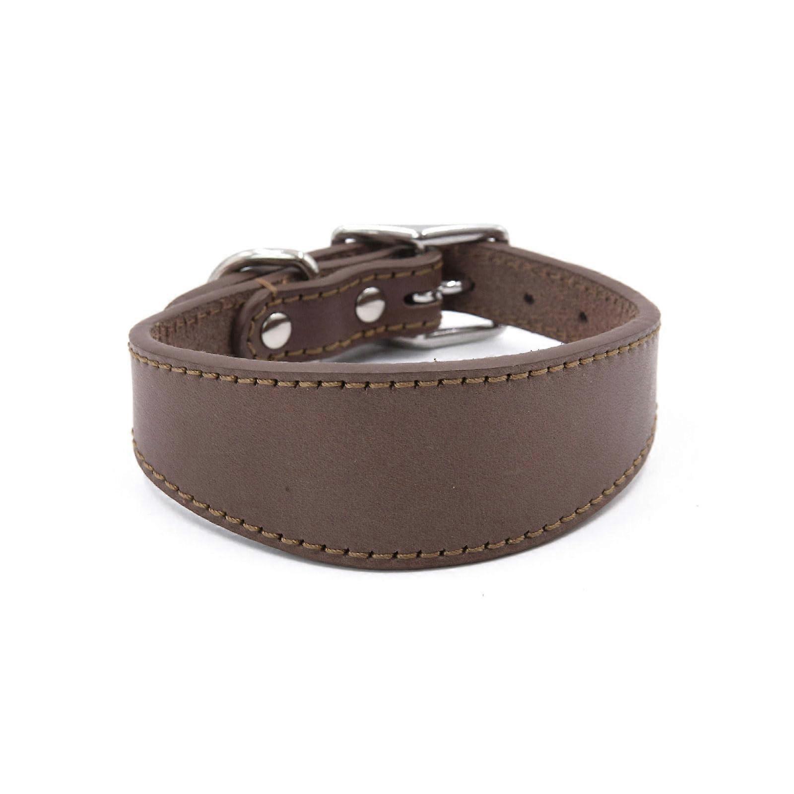 Soft padded leather dog collar for Whippets, Salukis, Greyhounds, adjustable collar for large breeds. Ref: 4930
