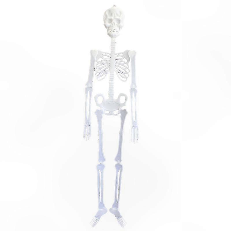 Poseable Life-Size Human Skeleton for Halloween Decor, Haunted House Prop