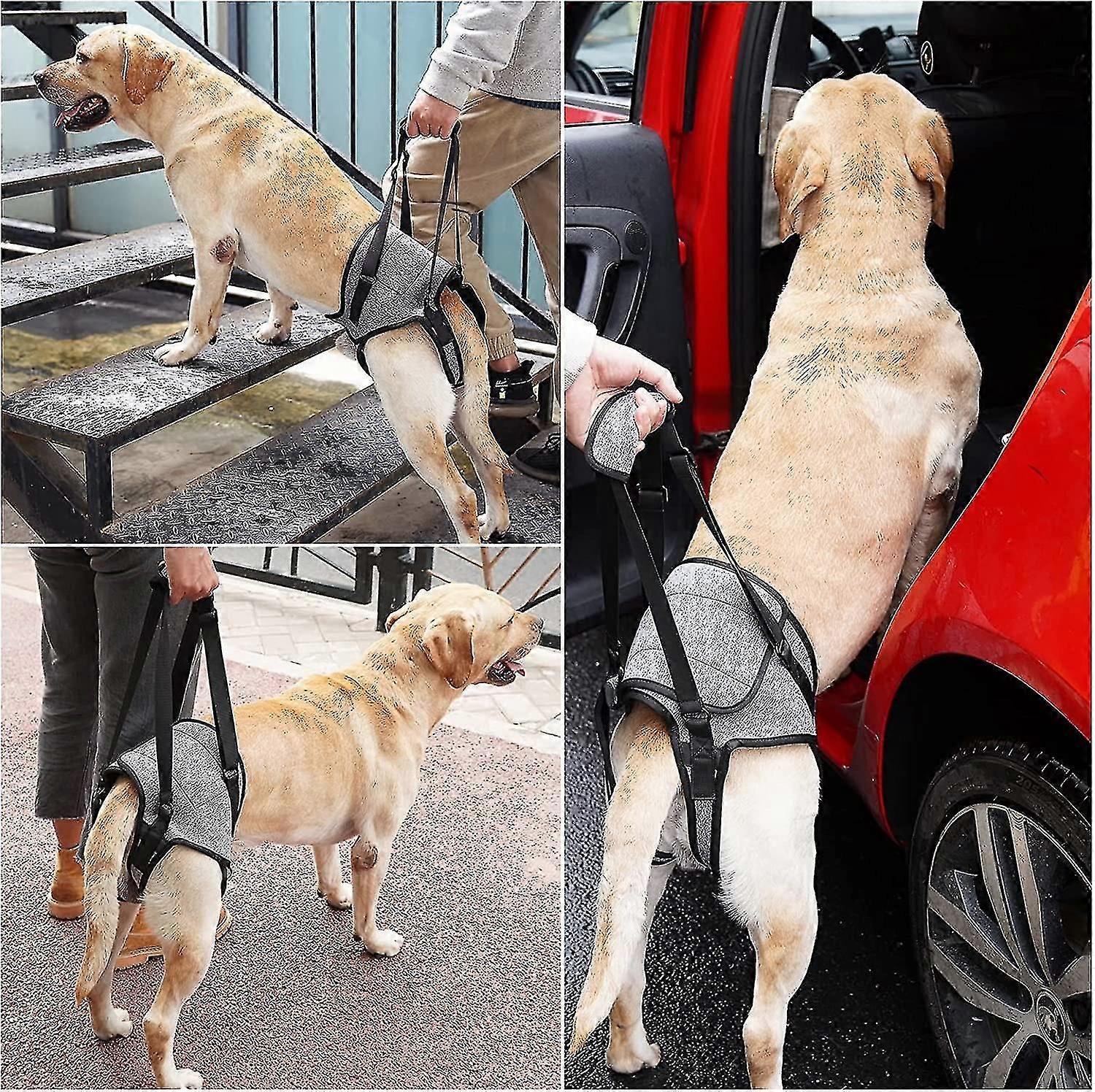 soft lifting harness for disabled dogs support