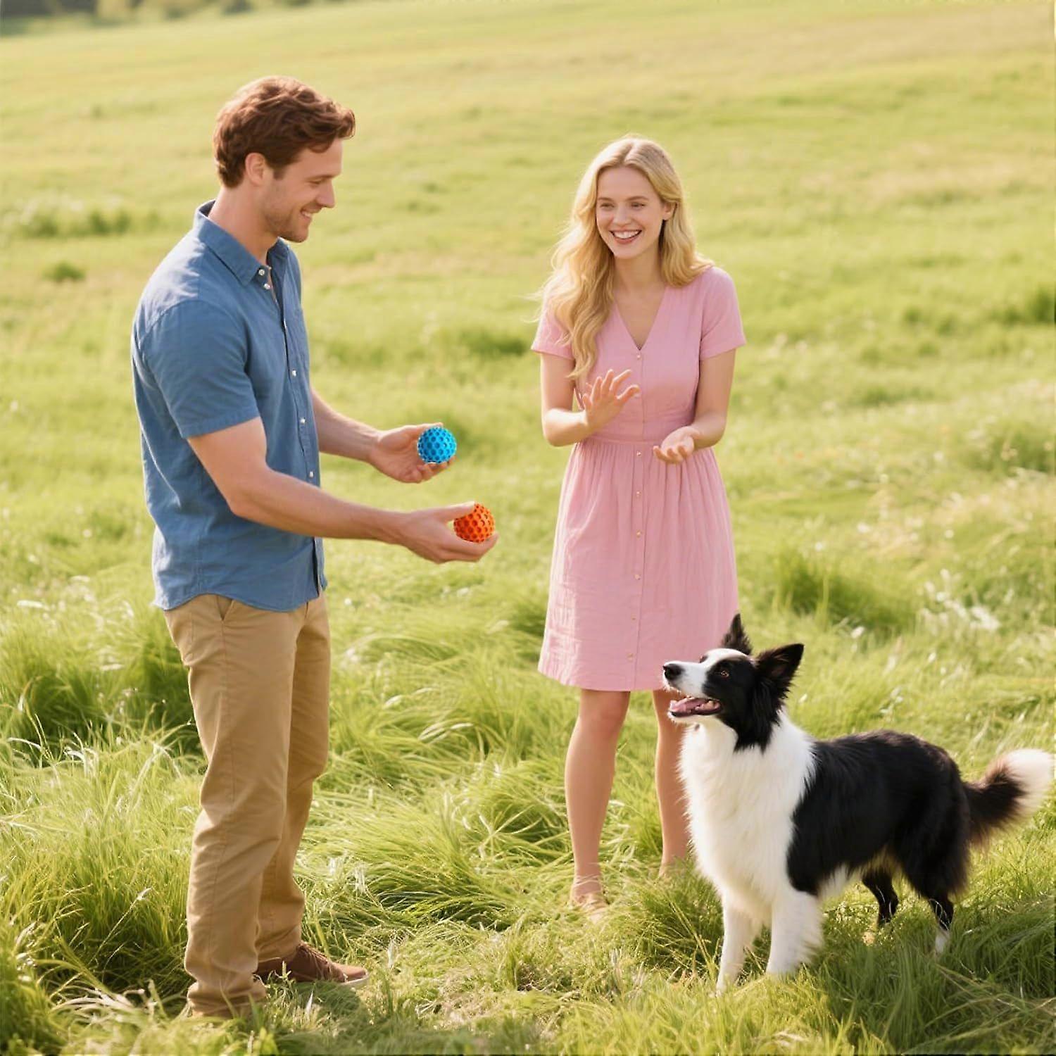 Dog Squeaky Balls Toys - 2 Pack Pet Chew Rubber Squeaker Toy,Interactive Training Fetch Ball for Small Medium Large Puppy