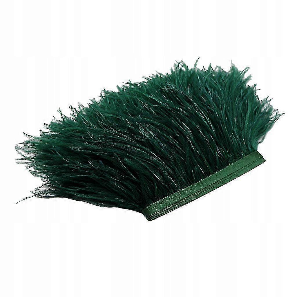 1 Yard Dyed Ostrich Feather With Fringe