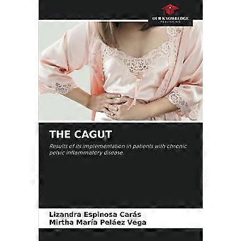 The cagut results of its implementation in patients with chronic pelvic inflammatory disease.