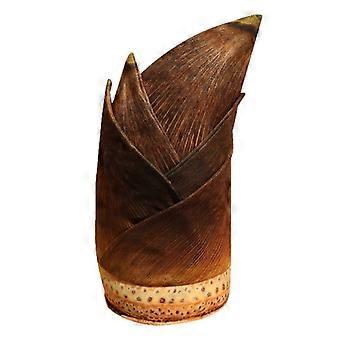 Soft Cartoon Bamboo Shoot Plush Toy Doll  Stuffed Realistic Spring Bamboo Shoot Plushie, 40cm Decorative Cushion for Home Sofa, Kids Playtime, Pretend