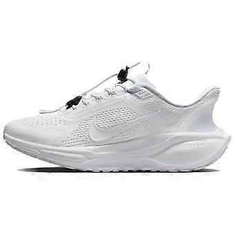 Nike Air Zoom Pegasus 41 EasyOn White Pure Platinum Dark Smoke Grey Women's FQ7844-101