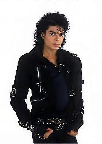 MICHAEL JACKSON Immersive Jigsaw Puzzles BD-4339