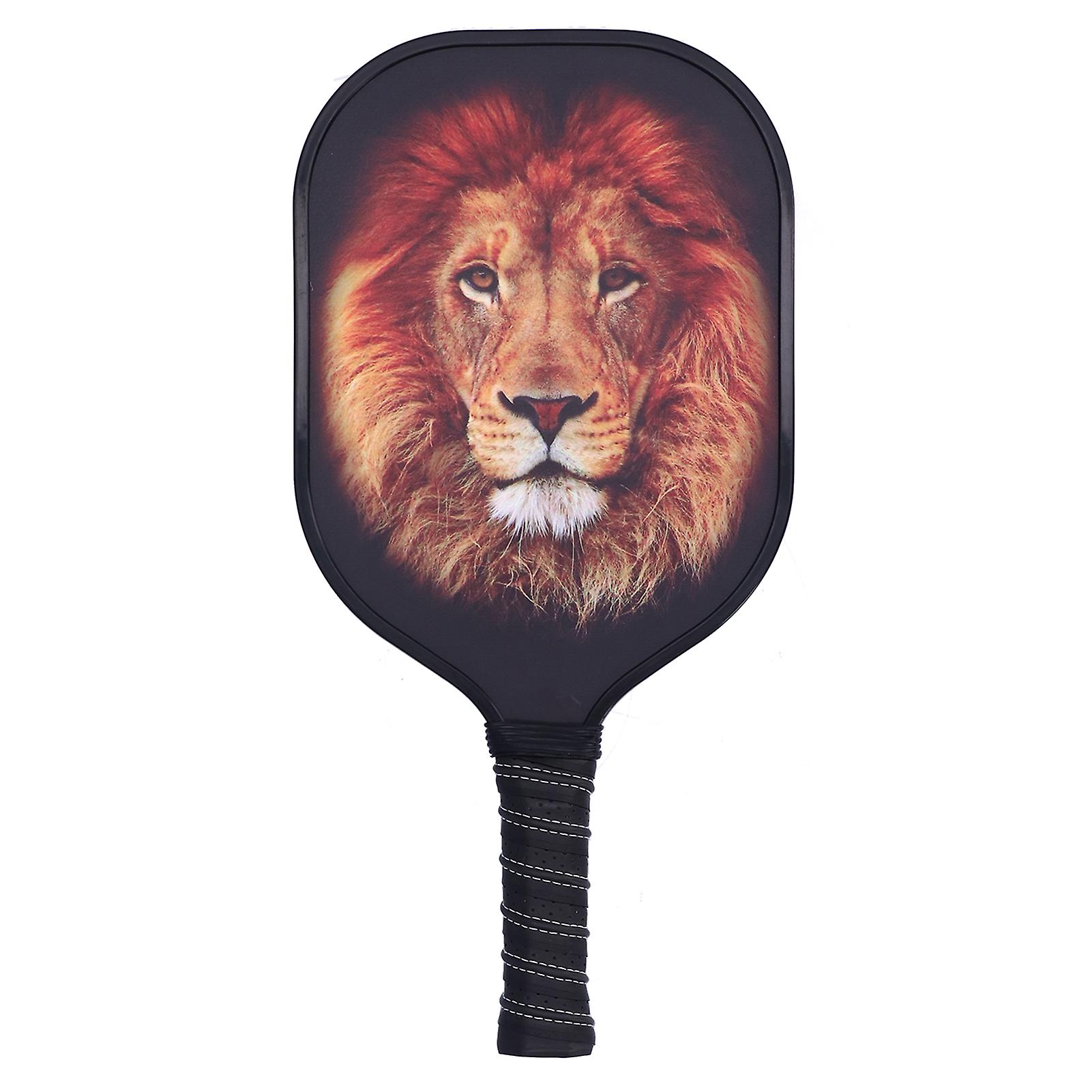 LEIJIAER Pickleball Paddle Set Carbon Fiber Pickleball Paddle with 2Pcs Ball and Storage BagPK‑061