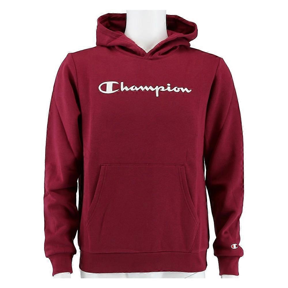 Sweatshirts Champion Big Logo Print 305358VS516