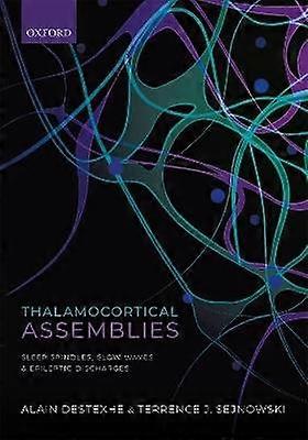 Thalamocortical Assemblies