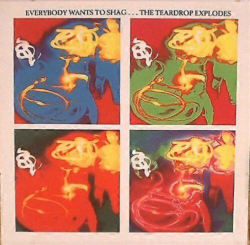 Teardrop Explodes Everybody Wants to Shag...The Teardrop E CD