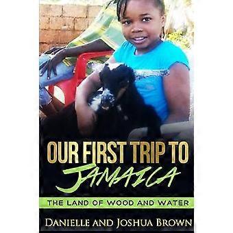 Our First Trip to Jamaica - Land of Wood and Water