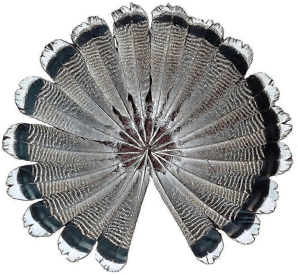 Χονδρικό 50 τεμ 10-12inch 25-30cm Φυσική Τουρκία Feather Tail Feather Diy Ένδυση Διακόσμηση Χειροτεχνία Καπέλα
