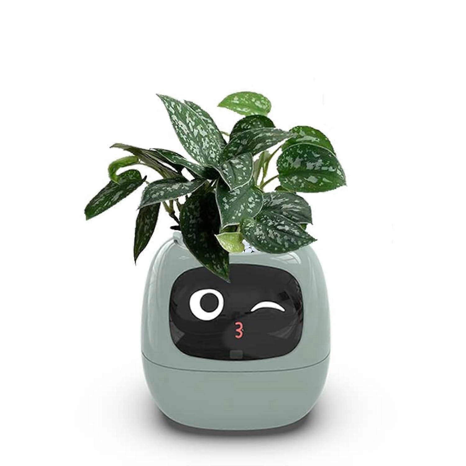 Smart Flowerpots for Indoor Plants, Intelligent AI Pet Planter with Multiple Expressions, Eco-Friendly Design, Customizable Size