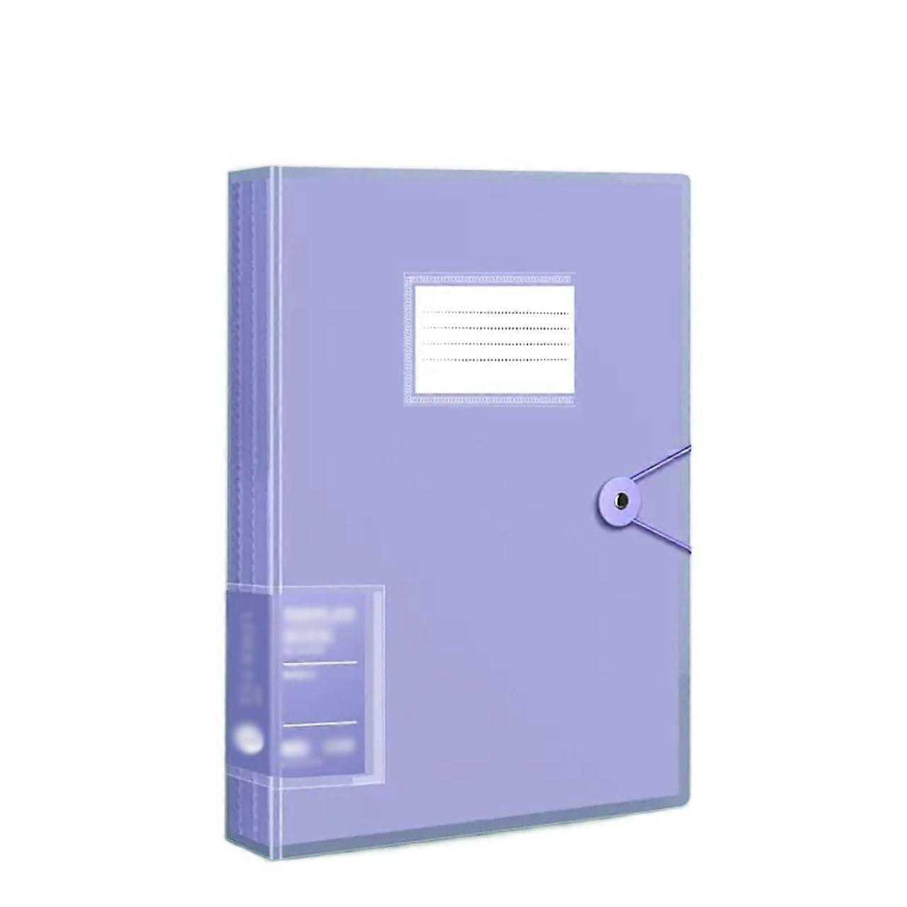 A4 Document Storage Bag, Transparent File Folder with Loose Sheets, Sorting and Organization Folder, 60 Pages, File Storage Folder (Purple)