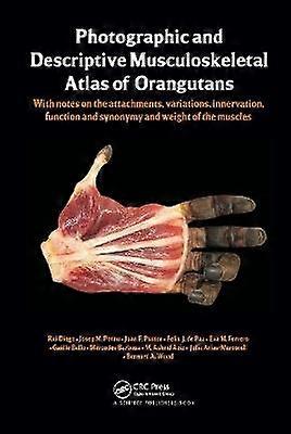 Photographic and Descriptive Musculoskeletal Atlas of Orangutans