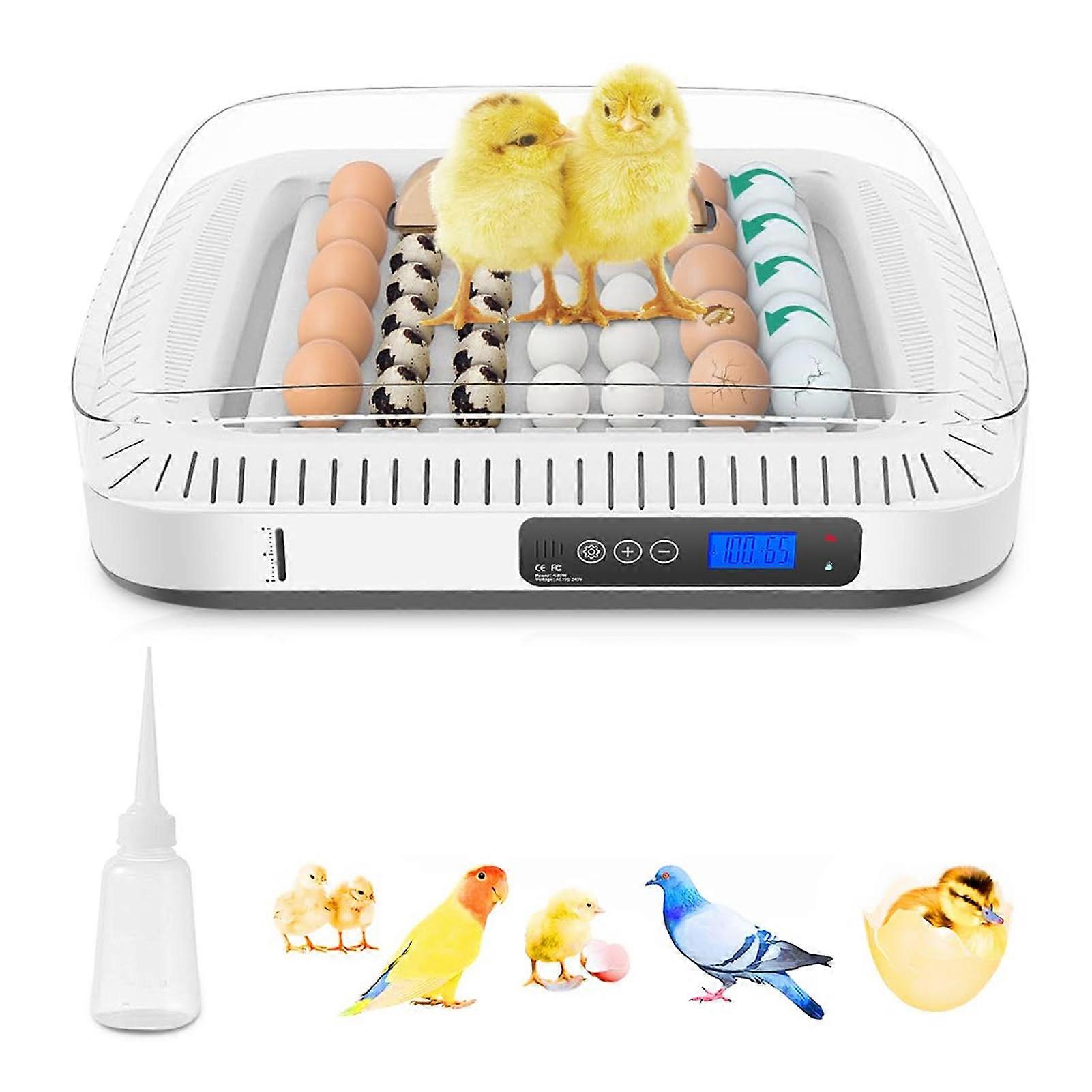 Egg Incubator 35 with Auto Turn, Temp Control 45.5x35.6x13cm