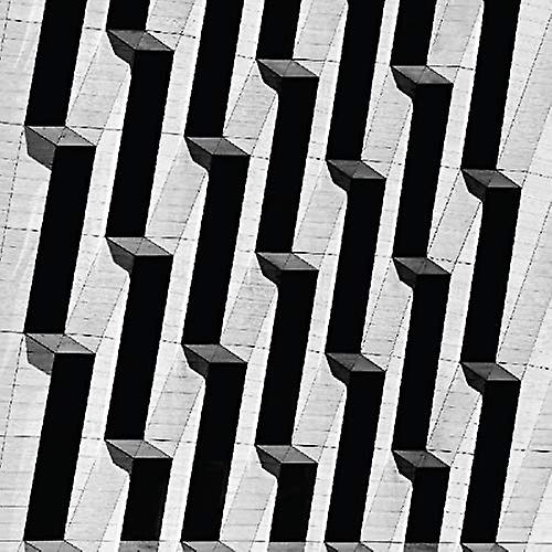 Snow Palms - Everything Ascending  [VINYL]
