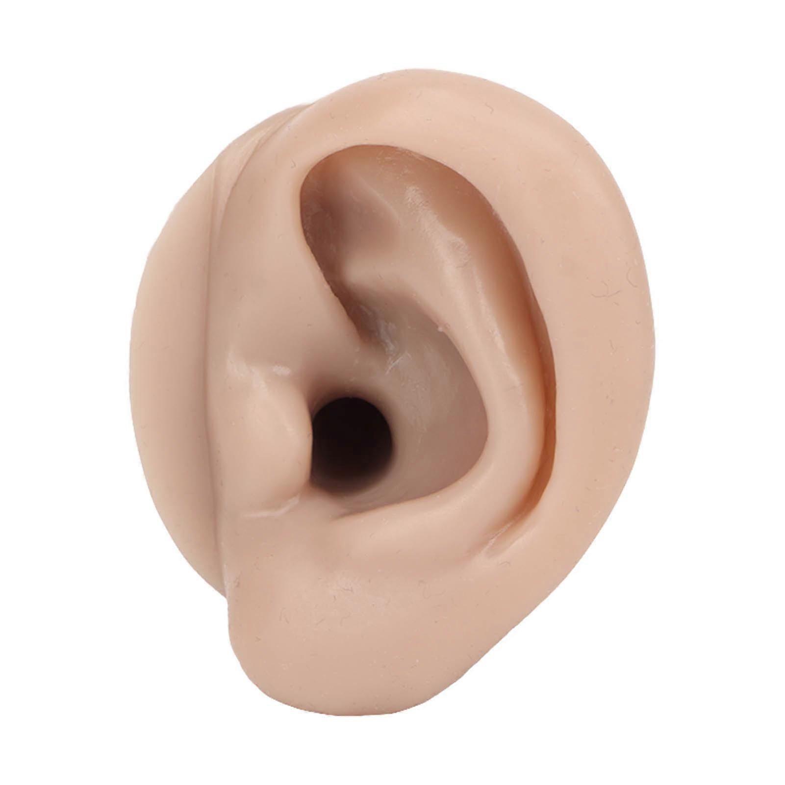 Silicone Piercing Practice Model Simulation Soft Flexible Ears Model For Display Teaching