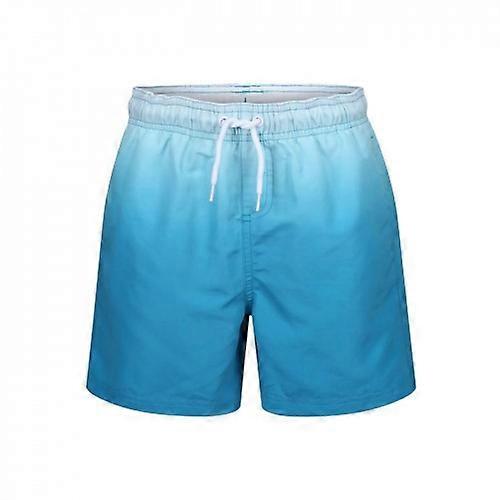 RIPT Essentials Mens Dip Dye Swim Shorts