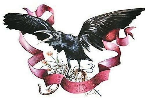 Slanke Cessnas Auto Club Cipher CD (2017) NIEUW