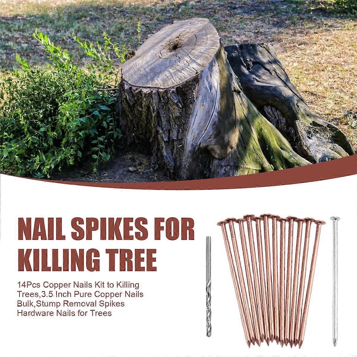 Copper Nails Kit to Killing Trees,3.5 Inch Pure Copper Nails Bulk