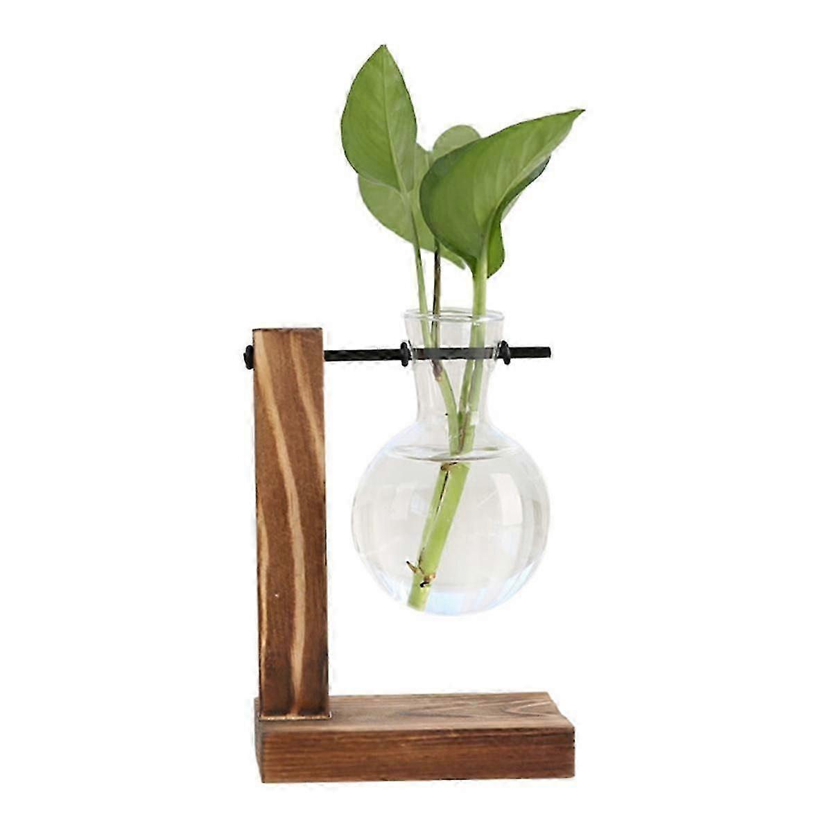 A Σταθμοί Πολλαπλασιασμού Φυτών Desktop Plant Terrarium, Γυάλινος Φυτευτής με Stand, Σταθμός Πολλαπλασιασμού f