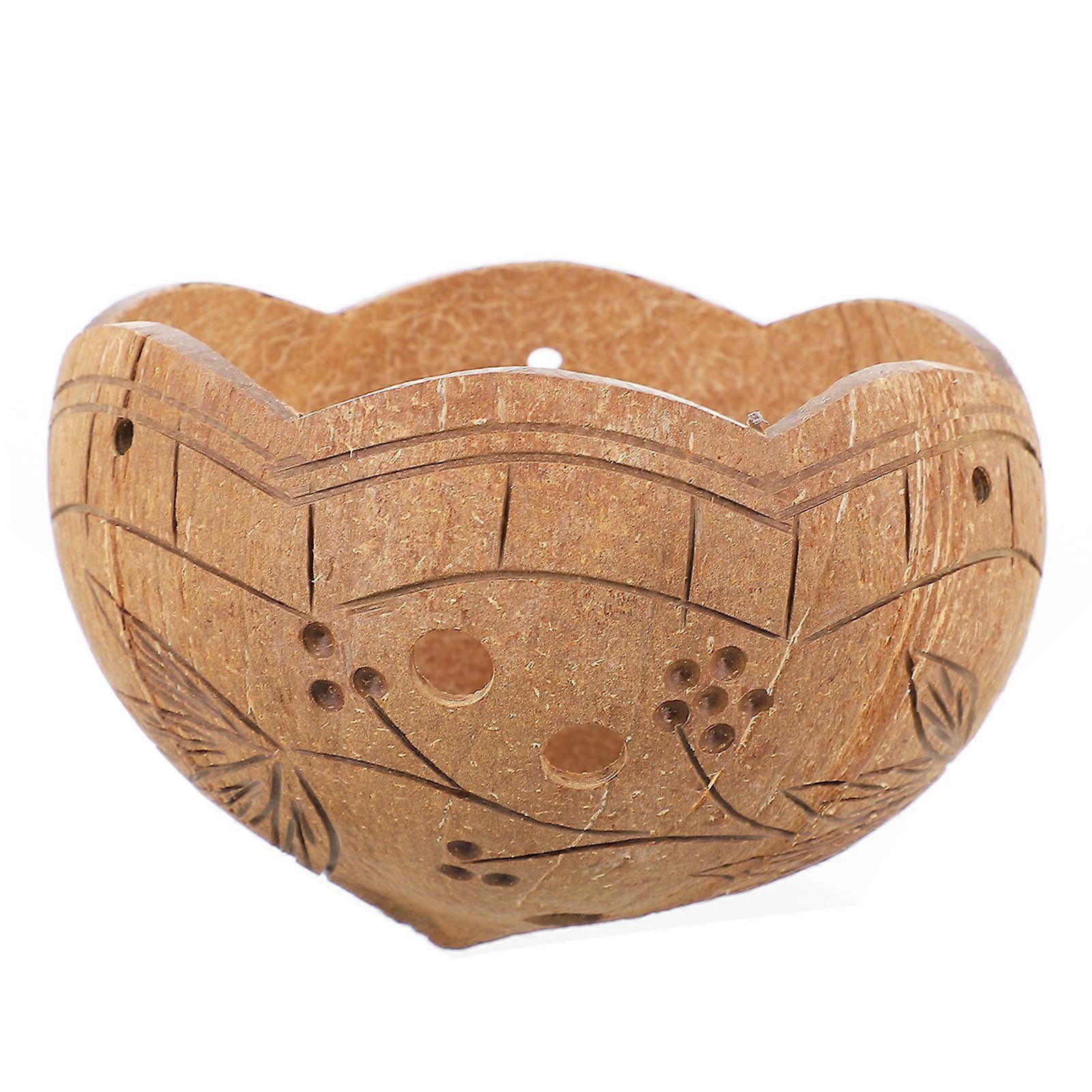 Small Bonsai Pot Coconut Shells Decorative Flowerpot For Windowsill Round Shape 1Set