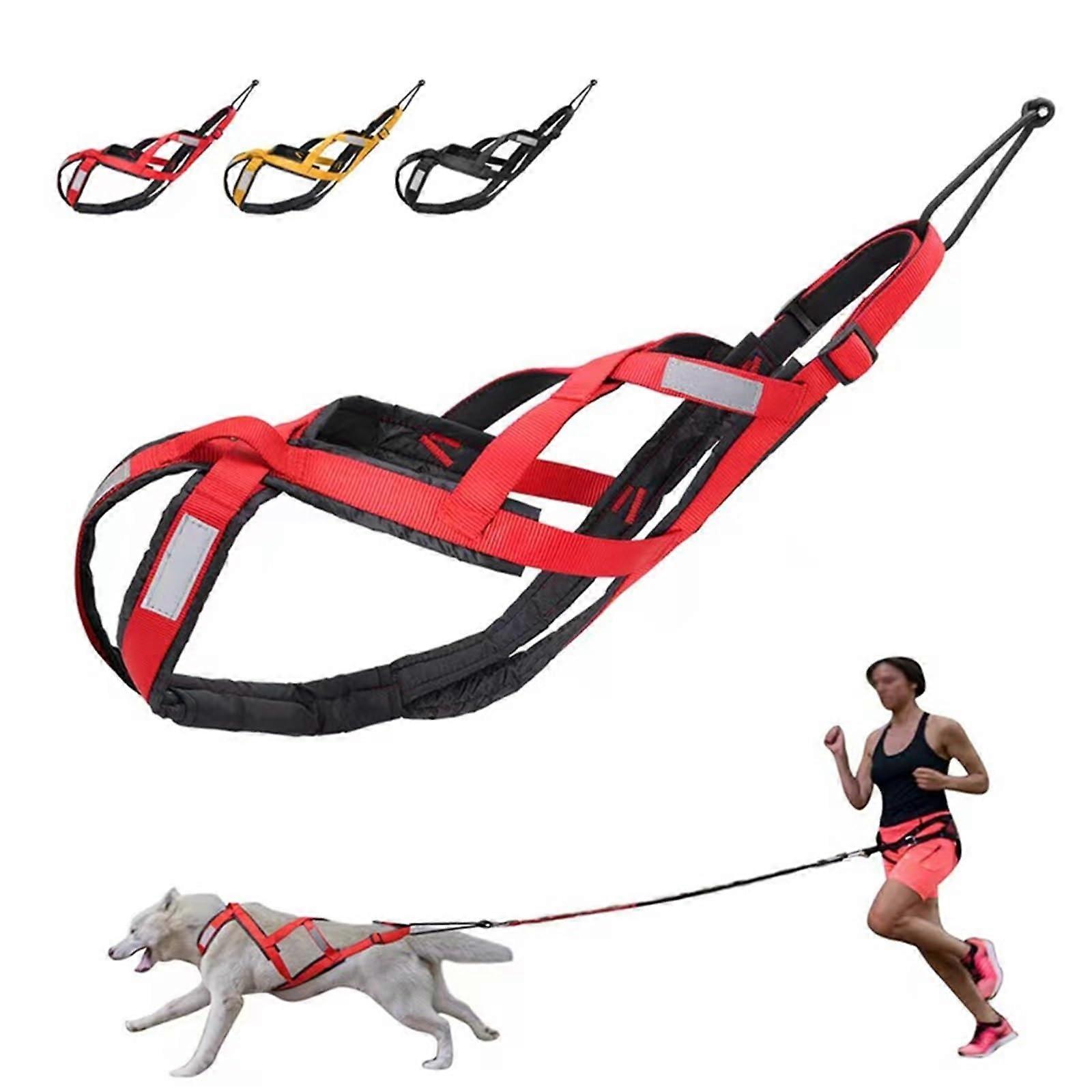 Dog Leash Nylon Belt with Reflective Stripes, Waterproof Sledding Belt for Dogs, Training Rope, Blue XL