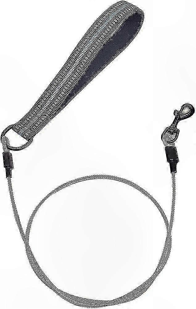 Durable Dog Lead with Comfort Grip, Chew-Resistant Multi-Strand Design for Everyday Use