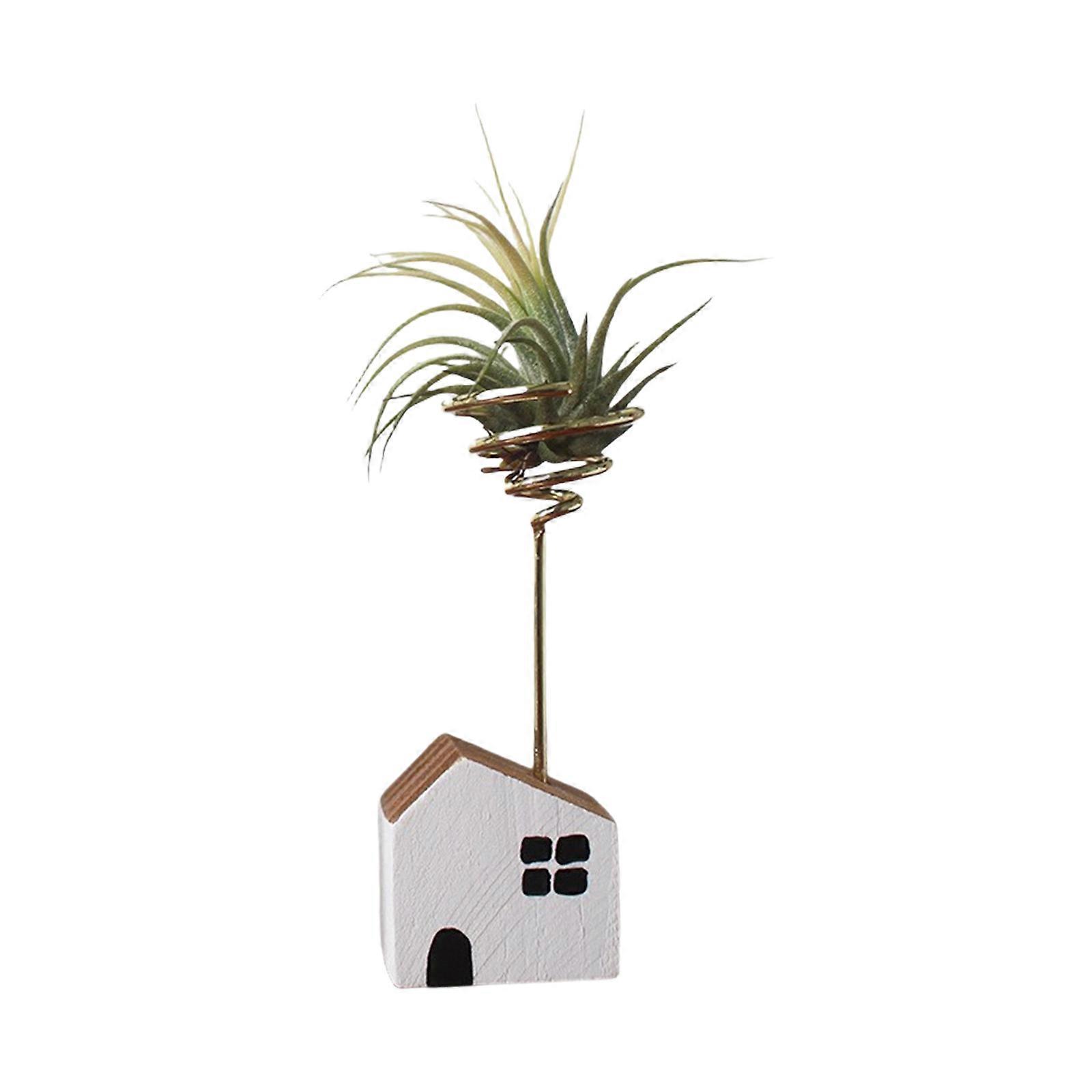 Pine Air Plant Shelf Miniature Home Planter Decorative Display Rack For Home Office   Design Multicolor