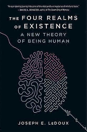 The Four Realms Of Existence by Joseph E. LeDoux Paperback