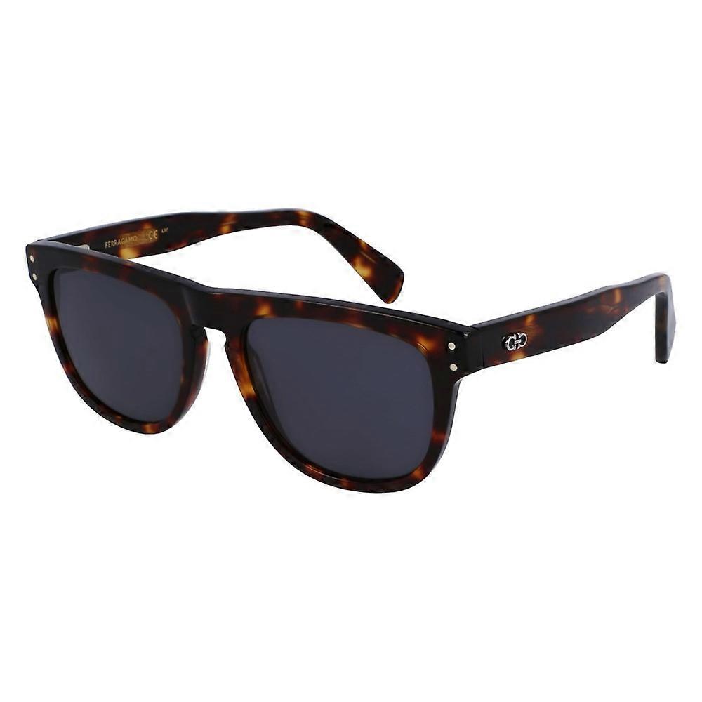 Glasses Ferragamo sf1111s242
