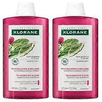 Szampon z opuncją figową (połysk i nawilżenie) 2 sztuki po 400 ml