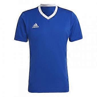 Adidas Herren Entrada 22 V-Ausschnitt Trainingsshirt