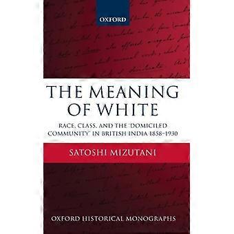 Significado de Ohm Branco C - MIZUTANI - Capa dura - Livro em inglês - História