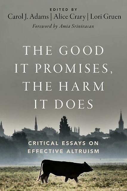 The Good It Promises The Harm It Does by Oxford University Press Inc Paperback