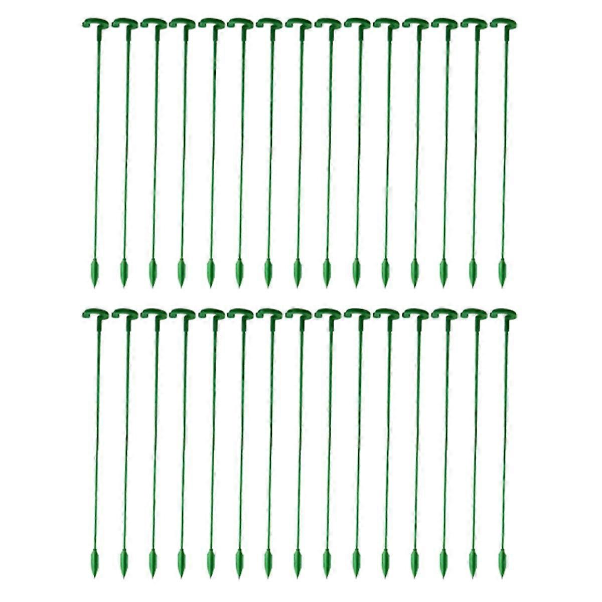 Plant Support Piles and Single Plant Stem Flower Support Poles are Suitable for Indoor and Outdoor