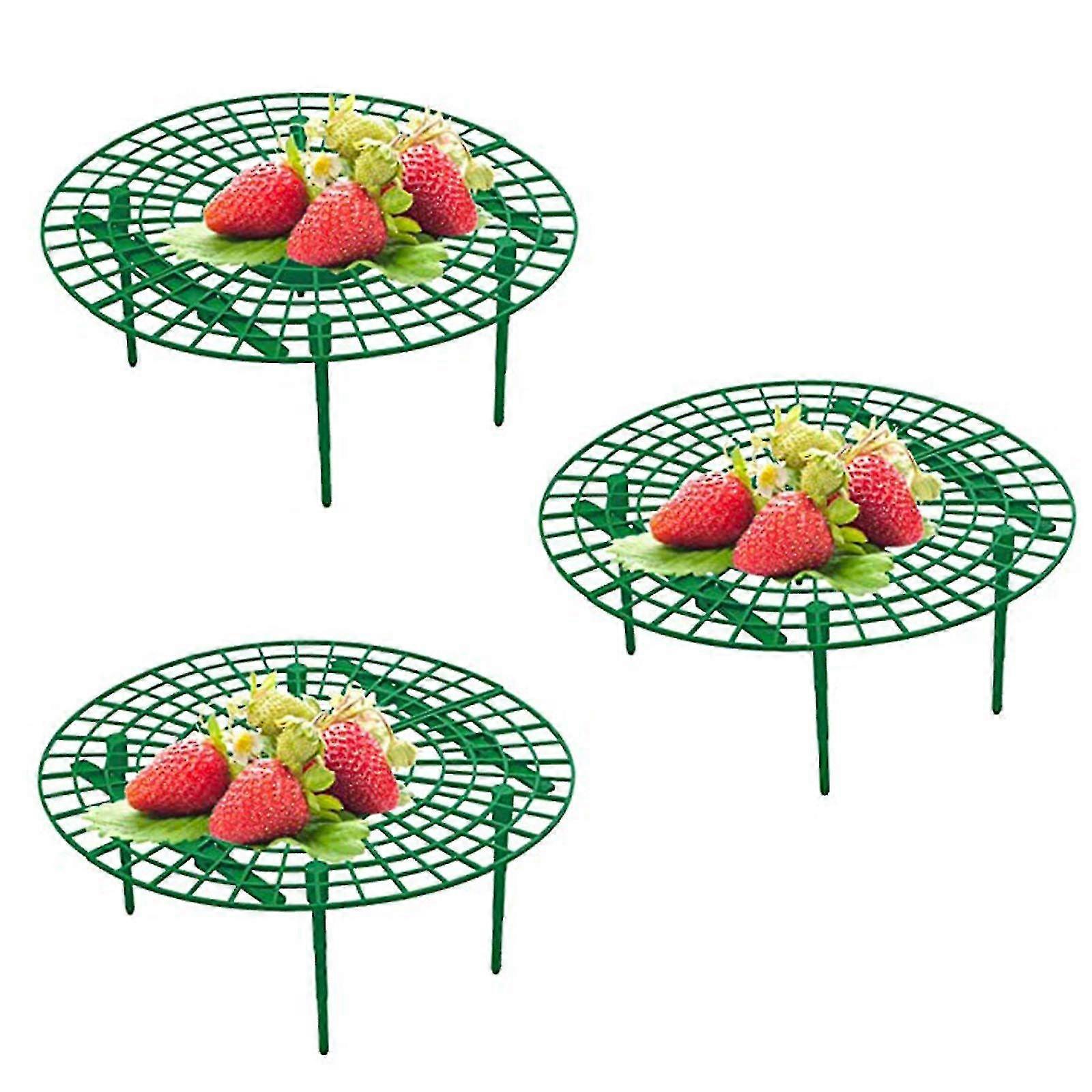 3pcs Strawberry Plant Support Holder Fruit Growing Frame Strawberry ...