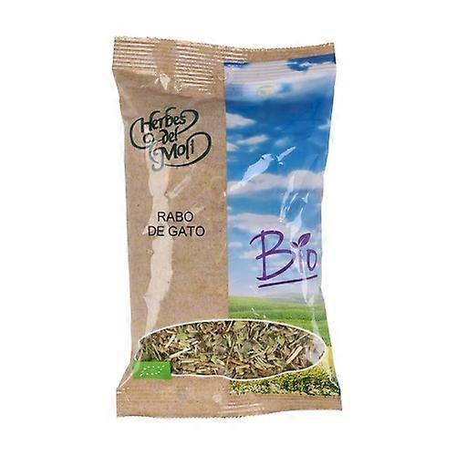 Rabo de gato plant Eco 45 g