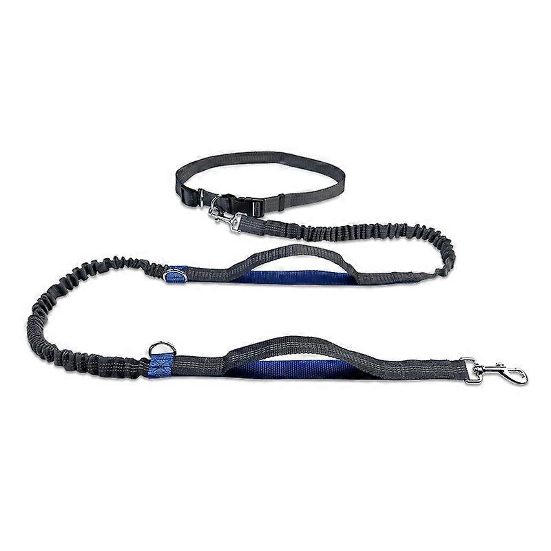 Running Reflective Double Telescopic Dog Rope Dog Chain Traction