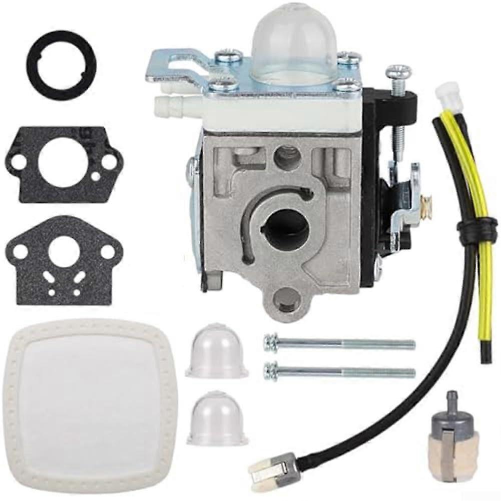 Replacement carburetor for Echo PB2520 leaf blower, compatible with parts A021004700, A021000722, and A021000723.