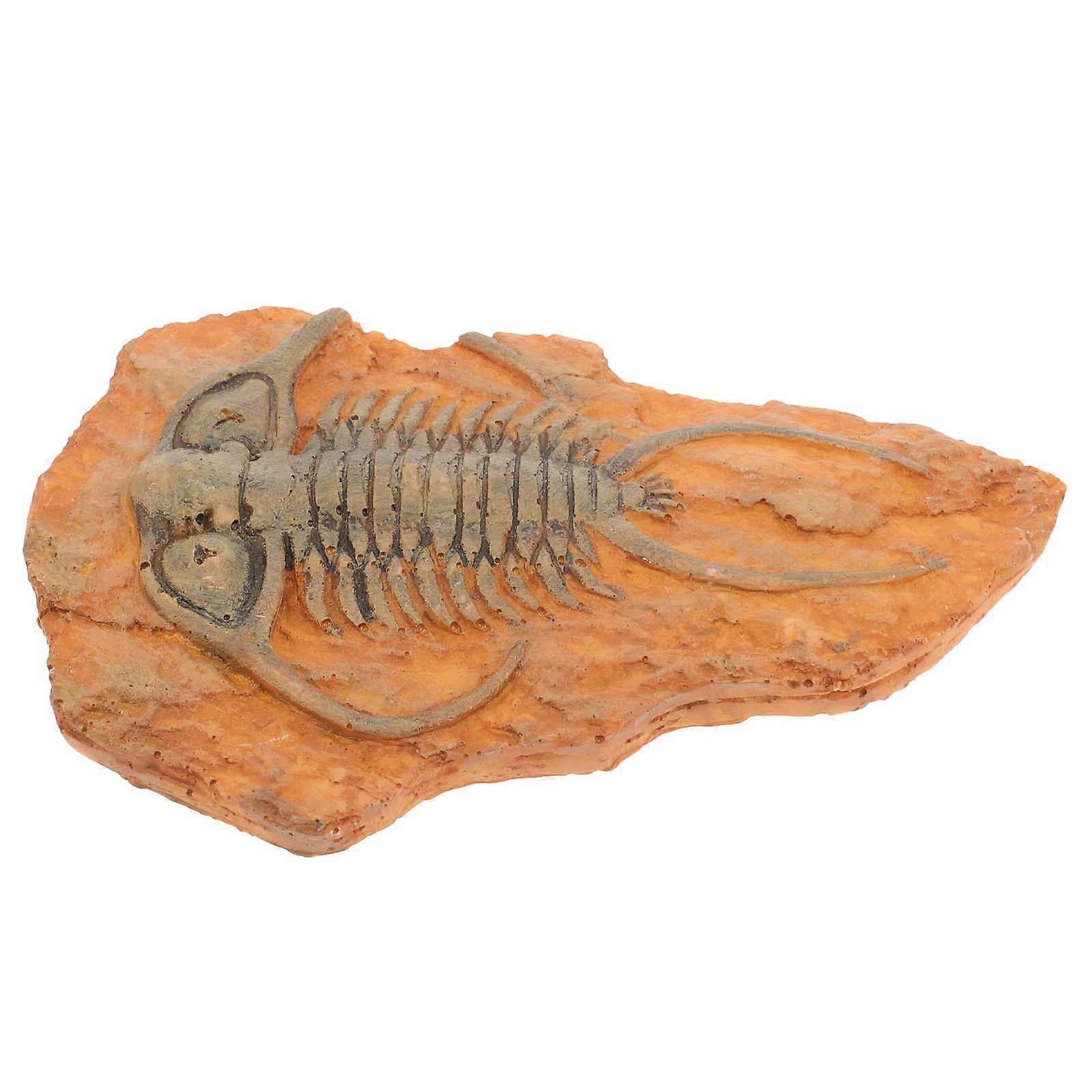 4Pcs Paleontological Insect Specimen for Teaching Resin Ornament Collection